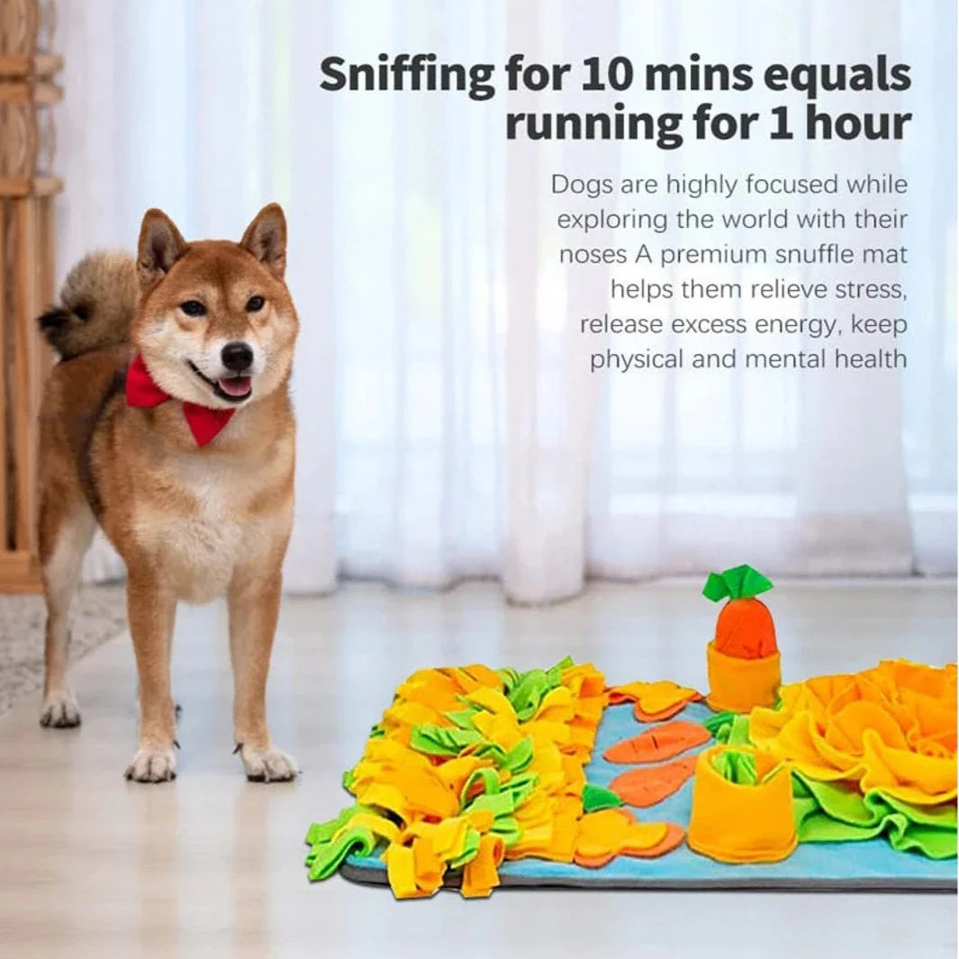 Snuffle Mat/Slow Feeder for Pets